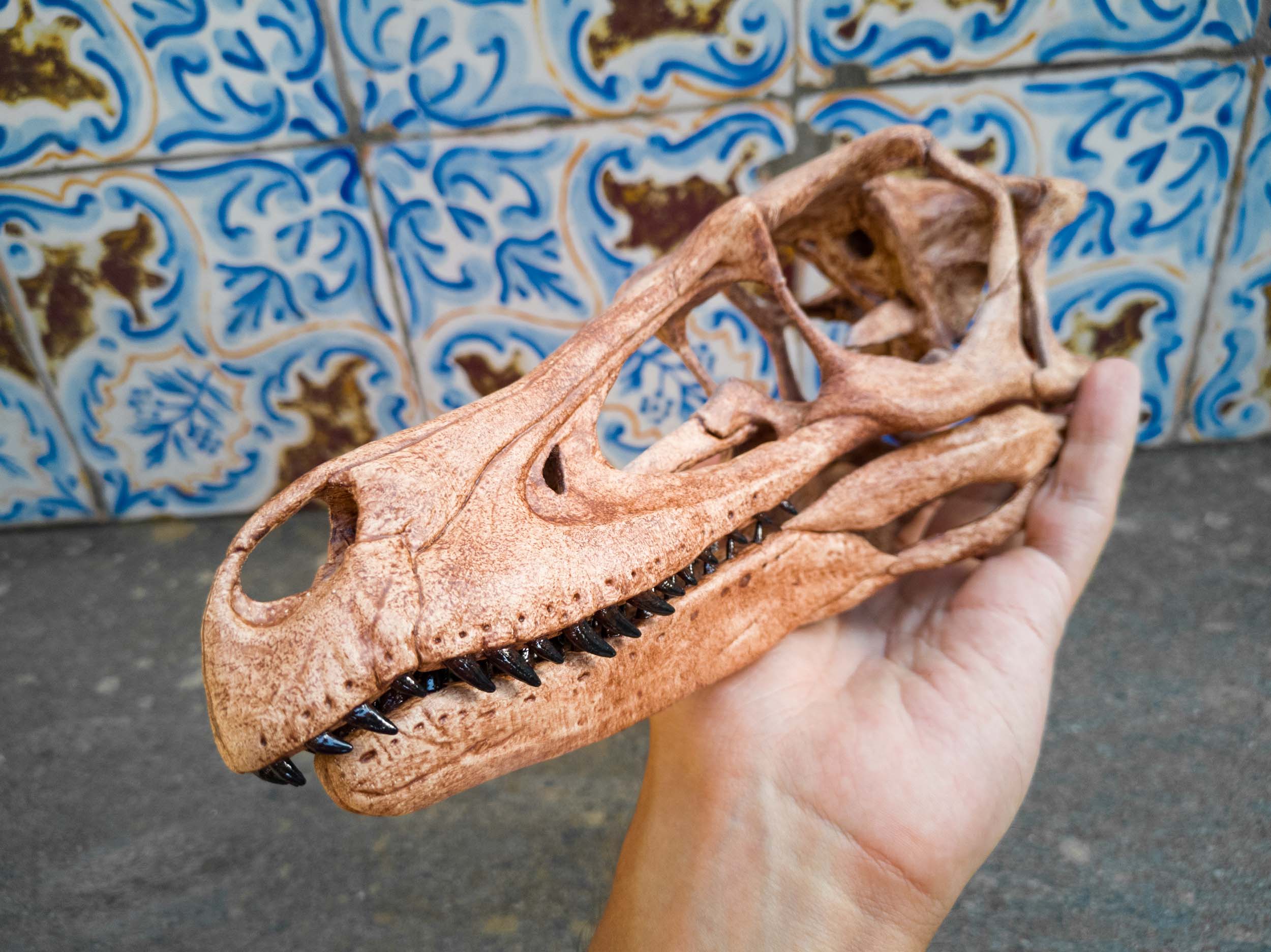 Cranio di Velociraptor stampato 3D a grandezza naturale
