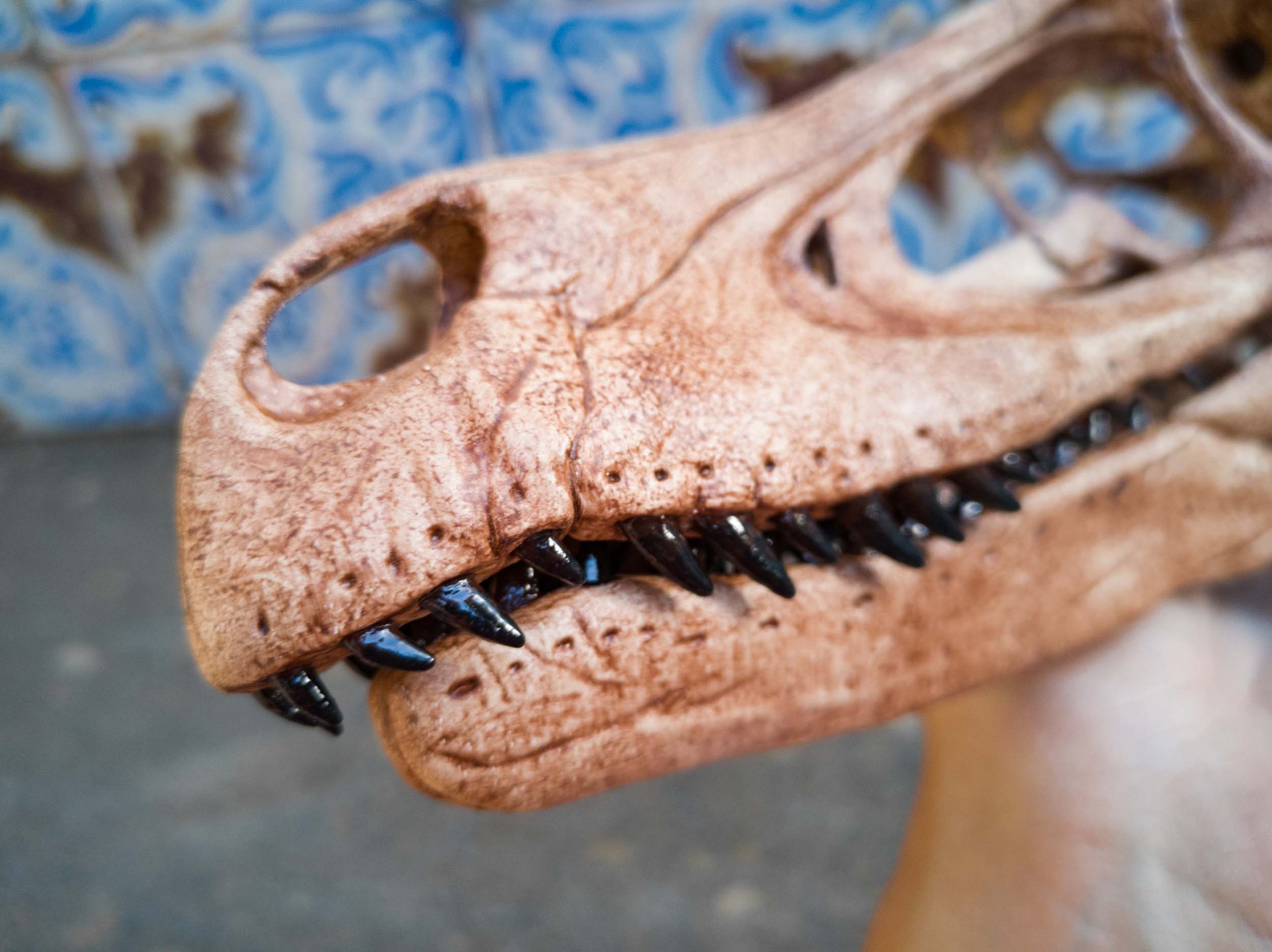 Denti di Velociraptor stampati 3D