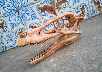 Teschio di Velociraptor realizzato con stampante 3D